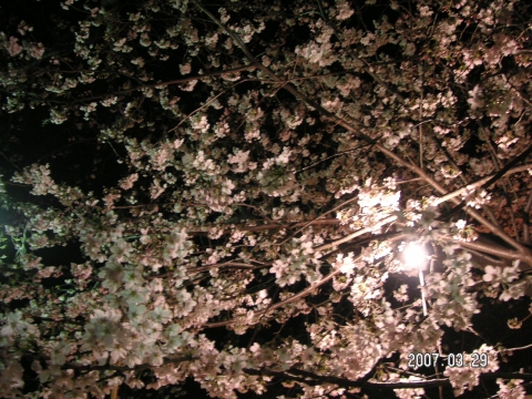 s_PICT0004.jpg